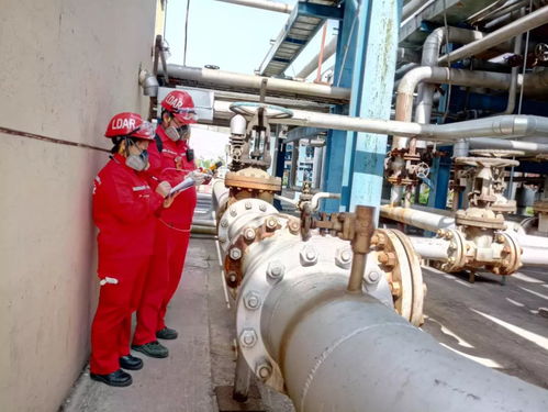 研發ldar數據采集軟件，助力天然氣處理廠高端市場開發