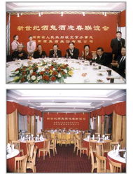 北京盛世嘉華文化發展有限公司 專業鑄就卓越，賦能會議展覽新體驗