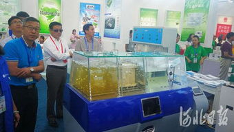 第二屆河北省旅發大會觀摩活動精彩紛呈，會議及展覽服務彰顯文旅新風貌